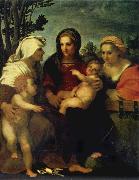 Andrea del Sarto Madonna and child with Sts Catherine and Elizabeth,and St John the Baptist Germany oil painting artist
